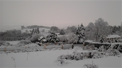 Winter Snow